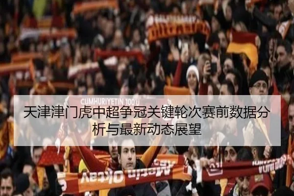 天津津门虎中超争冠关键轮次赛前数据分析与最新动态展望